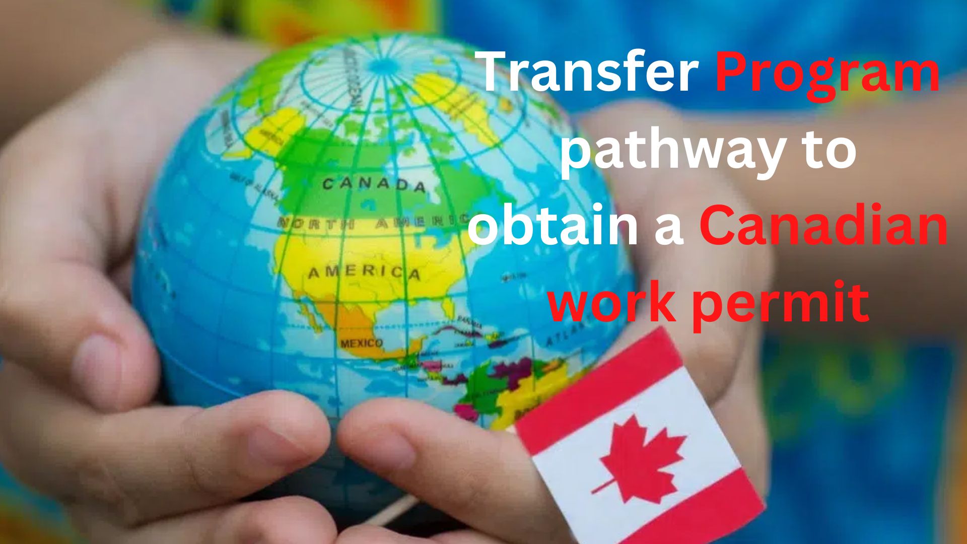 Transfer Program pathway to obtain a Canadian work permit